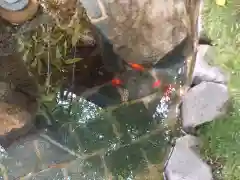 行田八幡神社の庭園