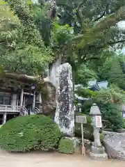 熊野那智大社の建物その他