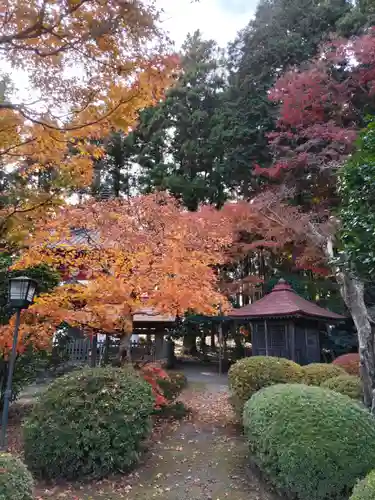 安楽寺の庭園