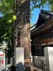 田無神社の庭園