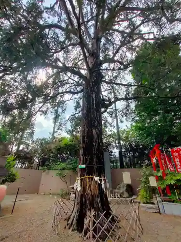 下神明天祖神社(東京都)