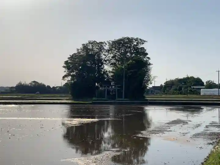 水神社(千葉県)