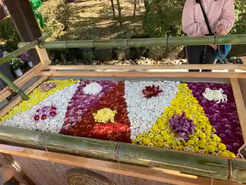 笠間稲荷神社の{uncategorized: "未分類", other: "その他", undefined: "問題あり", building: "その他建物", grave: "お墓", sacred_gate: "鳥居", guardian: "狛犬", statue: "像", buddha: "仏像", history: "歴史", nature: "自然", garden: "庭園", animal: "動物", pagoda: "塔", temizu: "手水舎", mountain_gate: "山門・神門", sanctuary: "本殿・本堂", subordinate: "末社・摂社", art: "芸術", scenery: "景色", jizo: "地蔵", ema: "絵馬", goshuin: "御朱印", omikuji: "おみくじ", items: "授与品その他", amulet: "お守り", goshuincho: "御朱印帳", eats: "食事", festival: "お祭り", votive_dance: "神楽", shichigosan: "七五三参", wedding: "結婚式", experience: "体験その他", initially: "初詣", around: "周辺", anti_infection: "感染症対策"}