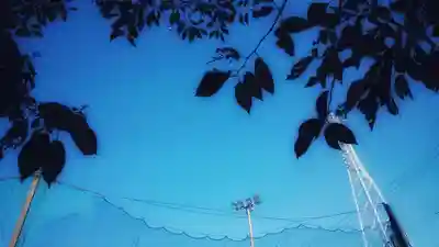 宗形神社の周辺