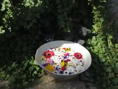 今戸神社(東京都)
