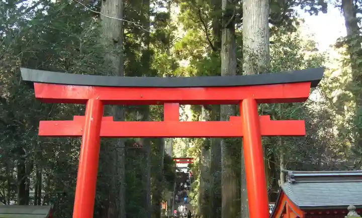 箱根神社の鳥居