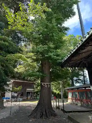 玉前神社(千葉県)