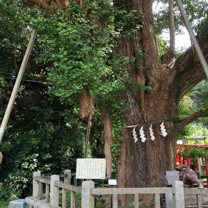 海南神社(神奈川県)