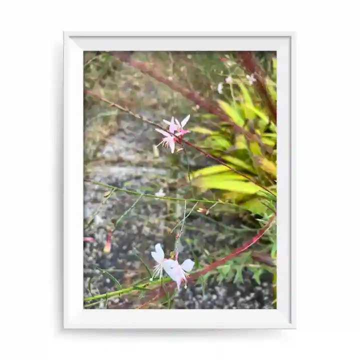 寳生院(東京都)