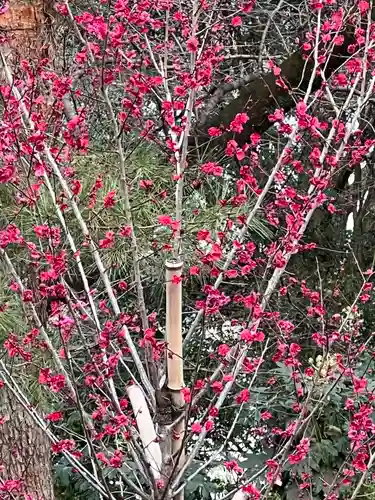 武蔵一宮氷川神社の自然