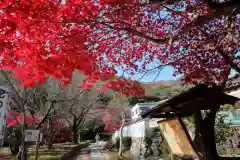 勝持寺（花の寺）(京都府)