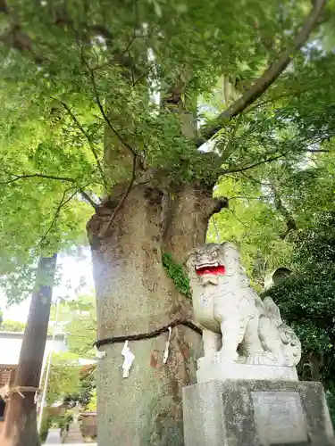 比々多神社(神奈川県)