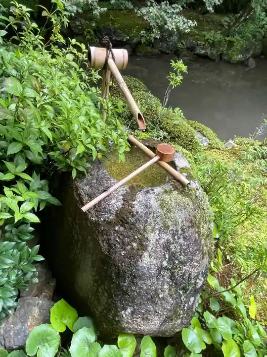 蓮華寺(洛北蓮華寺)(京都府)