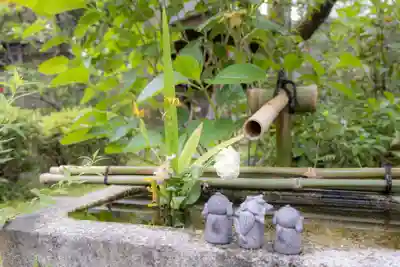 宝蔵寺(京都府)