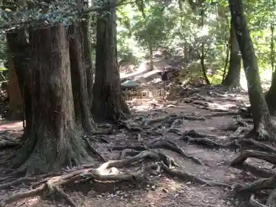 鞍馬寺(京都府)