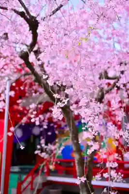 米之宮浅間神社(静岡県)