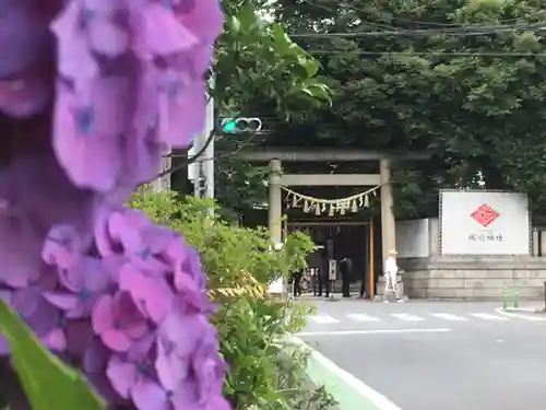 川越氷川神社の景色