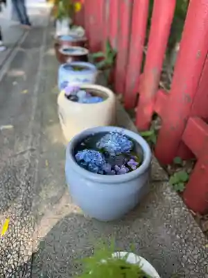 川越八幡宮(埼玉県)