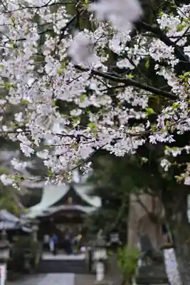 岩槻久伊豆神社(埼玉県)