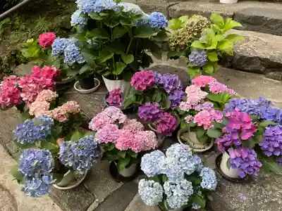 長谷寺(奈良県)