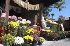 美奈宜神社(福岡県)