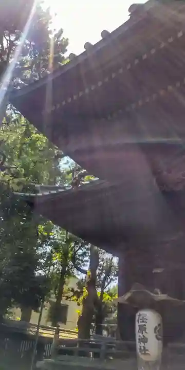 荏原神社(東京都)