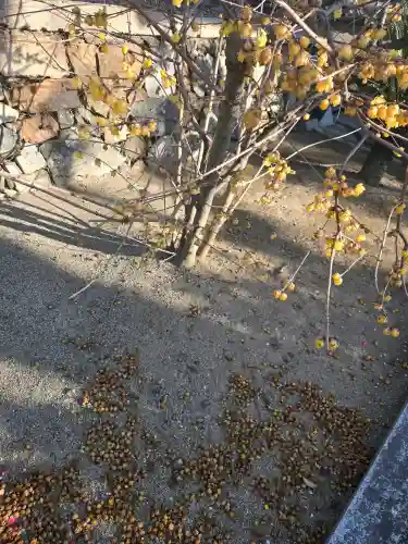 浄誓寺の{uncategorized: "未分類", other: "その他", undefined: "問題あり", building: "その他建物", grave: "お墓", sacred_gate: "鳥居", guardian: "狛犬", statue: "像", buddha: "仏像", history: "歴史", nature: "自然", garden: "庭園", animal: "動物", pagoda: "塔", temizu: "手水舎", mountain_gate: "山門・神門", sanctuary: "本殿・本堂", subordinate: "末社・摂社", art: "芸術", scenery: "景色", jizo: "地蔵", ema: "絵馬", goshuin: "御朱印", omikuji: "おみくじ", items: "授与品その他", amulet: "お守り", goshuincho: "御朱印帳", eats: "食事", festival: "お祭り", votive_dance: "神楽", shichigosan: "七五三参", wedding: "結婚式", experience: "体験その他", initially: "初詣", around: "周辺", anti_infection: "感染症対策"}