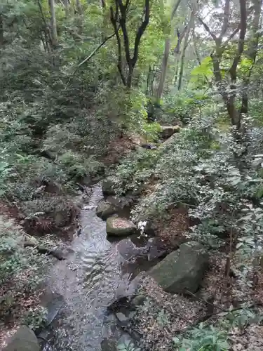 明治神宮(東京都)