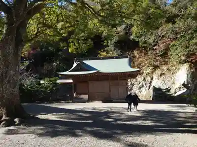 安房神社(千葉県)