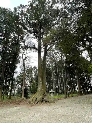 出雲神社(滋賀県)