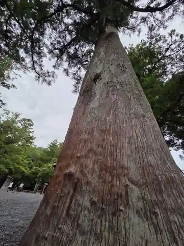 伊勢神宮外宮（豊受大神宮）(三重県)