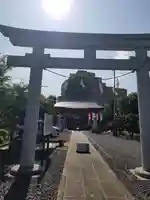 朝日氷川神社の鳥居