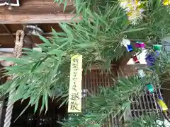 白山神社の体験その他