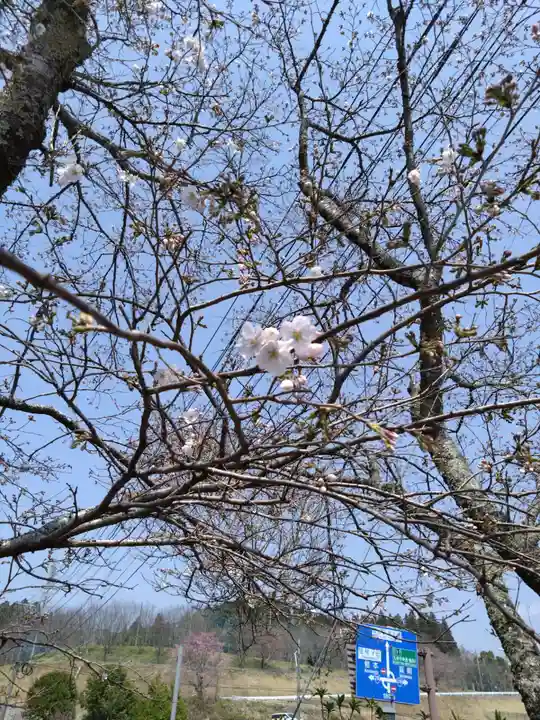 高千穂神社(宮崎県)