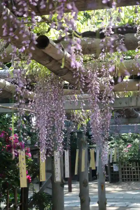 越ヶ谷久伊豆神社(埼玉県)