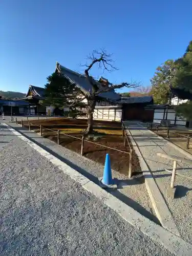 鹿苑寺（金閣寺）の{uncategorized: "未分類", other: "その他", undefined: "問題あり", building: "その他建物", grave: "お墓", sacred_gate: "鳥居", guardian: "狛犬", statue: "像", buddha: "仏像", history: "歴史", nature: "自然", garden: "庭園", animal: "動物", pagoda: "塔", temizu: "手水舎", mountain_gate: "山門・神門", sanctuary: "本殿・本堂", subordinate: "末社・摂社", art: "芸術", scenery: "景色", jizo: "地蔵", ema: "絵馬", goshuin: "御朱印", omikuji: "おみくじ", items: "授与品その他", amulet: "お守り", goshuincho: "御朱印帳", eats: "食事", festival: "お祭り", votive_dance: "神楽", shichigosan: "七五三参", wedding: "結婚式", experience: "体験その他", initially: "初詣", around: "周辺", anti_infection: "感染症対策"}