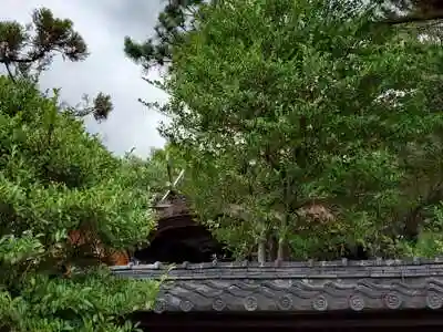 森・深江・青木 総氏神　稲荷神社の本殿