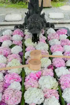 柳谷観音 楊谷寺の手水舎