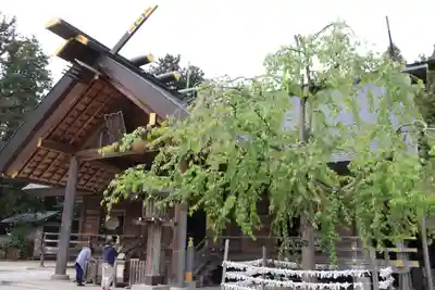 開成山大神宮の本殿・本堂