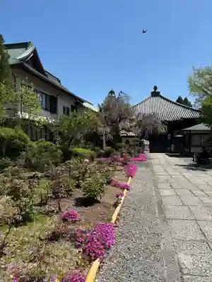 立江寺の{uncategorized: "未分類", other: "その他", undefined: "問題あり", building: "その他建物", grave: "お墓", sacred_gate: "鳥居", guardian: "狛犬", statue: "像", buddha: "仏像", history: "歴史", nature: "自然", garden: "庭園", animal: "動物", pagoda: "塔", temizu: "手水舎", mountain_gate: "山門・神門", sanctuary: "本殿・本堂", subordinate: "末社・摂社", art: "芸術", scenery: "景色", jizo: "地蔵", ema: "絵馬", goshuin: "御朱印", omikuji: "おみくじ", items: "授与品その他", amulet: "お守り", goshuincho: "御朱印帳", eats: "食事", festival: "お祭り", votive_dance: "神楽", shichigosan: "七五三参", wedding: "結婚式", experience: "体験その他", initially: "初詣", around: "周辺", anti_infection: "感染症対策"}
