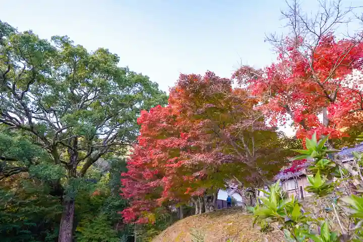 両足寺(山口県)