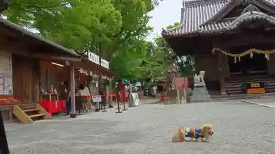 福島八幡宮の{uncategorized: "未分類", other: "その他", undefined: "問題あり", building: "その他建物", grave: "お墓", sacred_gate: "鳥居", guardian: "狛犬", statue: "像", buddha: "仏像", history: "歴史", nature: "自然", garden: "庭園", animal: "動物", pagoda: "塔", temizu: "手水舎", mountain_gate: "山門・神門", sanctuary: "本殿・本堂", subordinate: "末社・摂社", art: "芸術", scenery: "景色", jizo: "地蔵", ema: "絵馬", goshuin: "御朱印", omikuji: "おみくじ", items: "授与品その他", amulet: "お守り", goshuincho: "御朱印帳", eats: "食事", festival: "お祭り", votive_dance: "神楽", shichigosan: "七五三参", wedding: "結婚式", experience: "体験その他", initially: "初詣", around: "周辺", anti_infection: "感染症対策"}