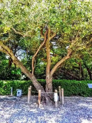 武雄神社の建物その他