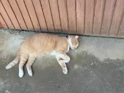 清水寺(千葉県)