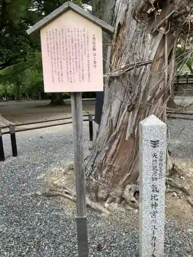 氣比神宮(福井県)