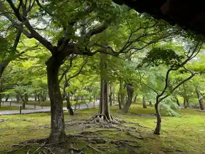東福禅寺(東福寺)(京都府)