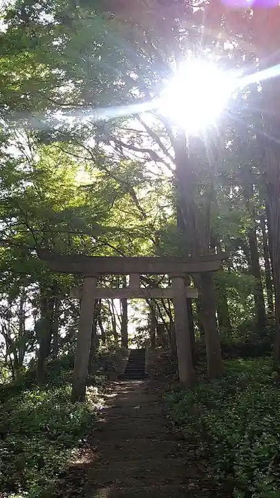 珍蔵寺 の鳥居