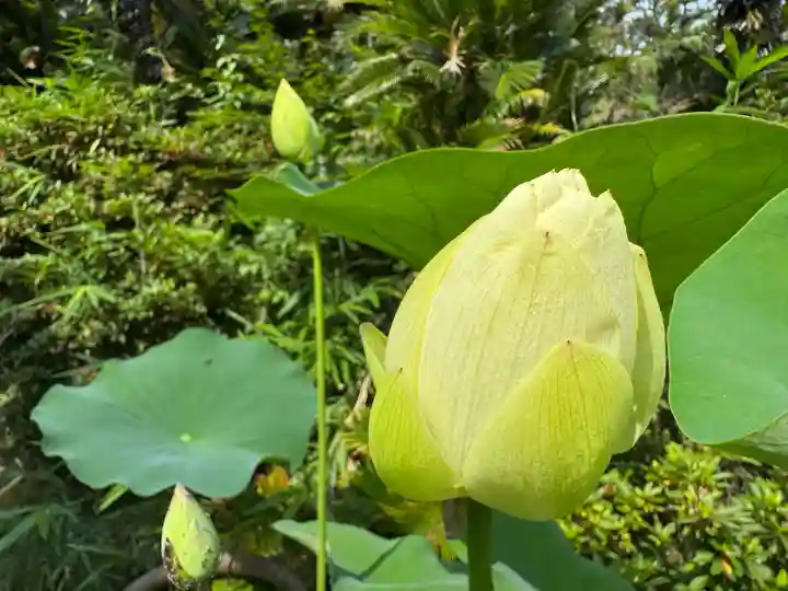 伊勢の国 四天王寺(三重県)