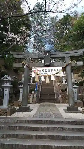 師岡熊野神社の鳥居