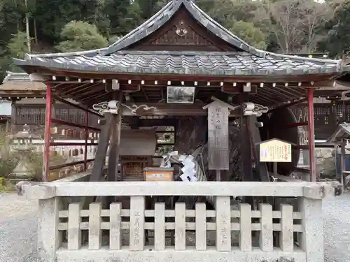 松尾大社(京都府)